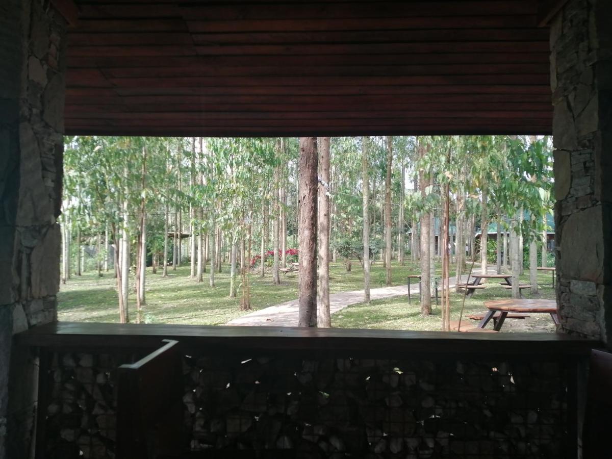 Murchison Backpackers Masindi Ngoại thất bức ảnh