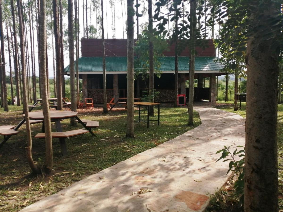 Murchison Backpackers Masindi Ngoại thất bức ảnh