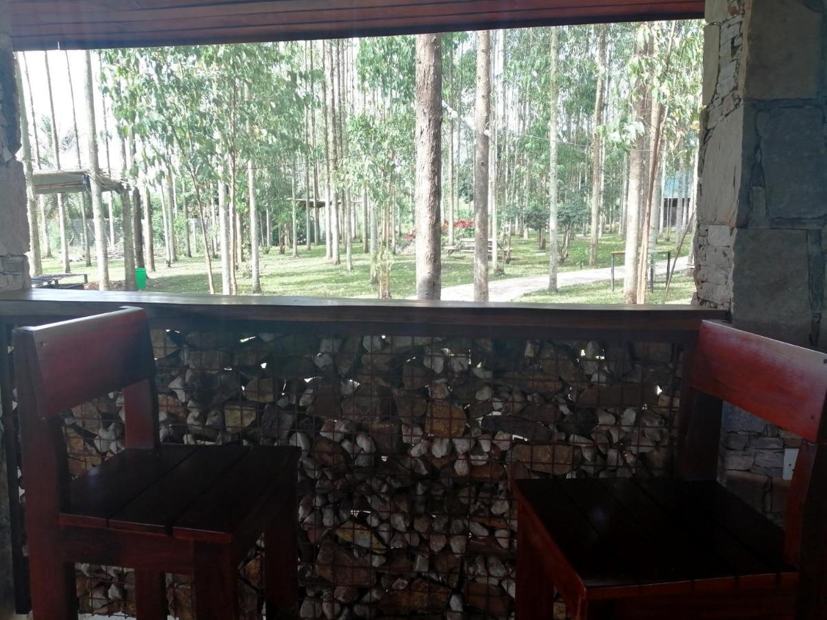 Murchison Backpackers Masindi Ngoại thất bức ảnh