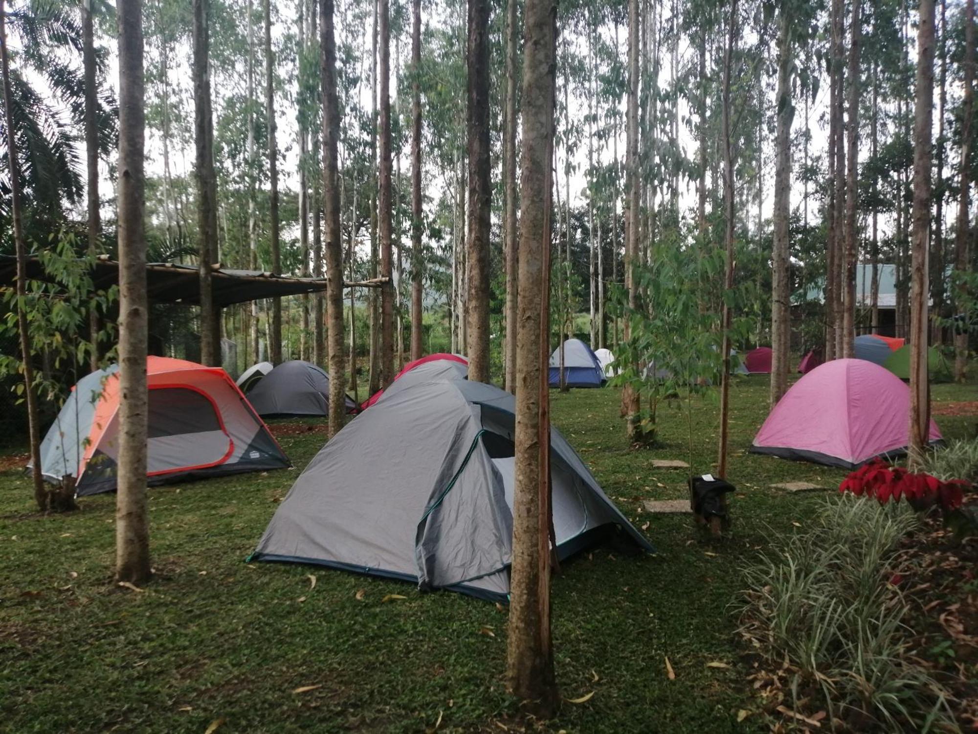 Murchison Backpackers Masindi Ngoại thất bức ảnh