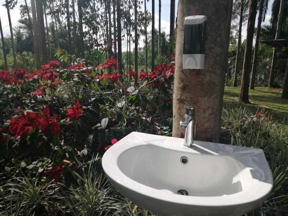 Murchison Backpackers Masindi Ngoại thất bức ảnh